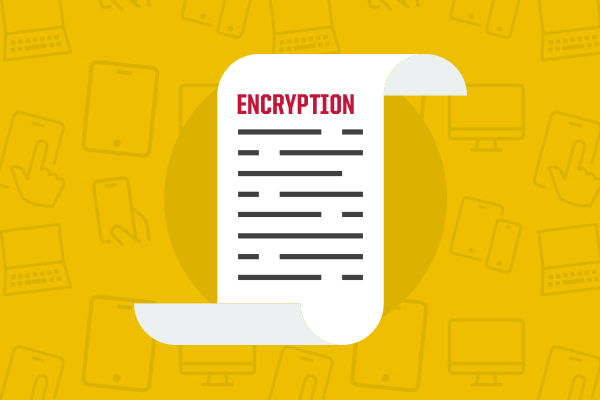 New Bill Attempts to Stop State Bans on Encryption